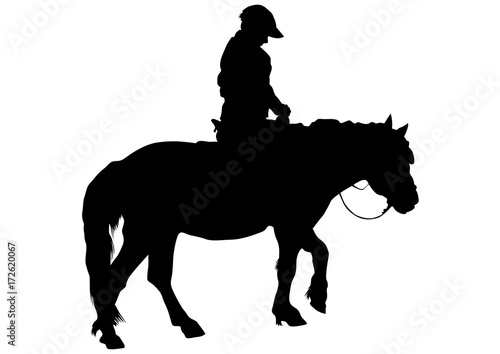 Silhouette of a horse on a white background