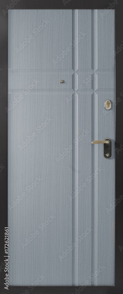 Fototapeta premium Entrance door (metal door)
