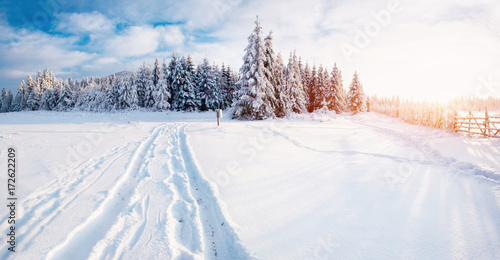 Fantastic winter landscape, road, something leading into the mountains. Frosty sunny day in the mountains. In anticipation of the holiday. Carpathian, Ukraine, Europe. Happy New Year.