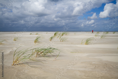 Storm on a vast beach, Sand Couch grass bent in the wind, in the distance a red beach pole photo