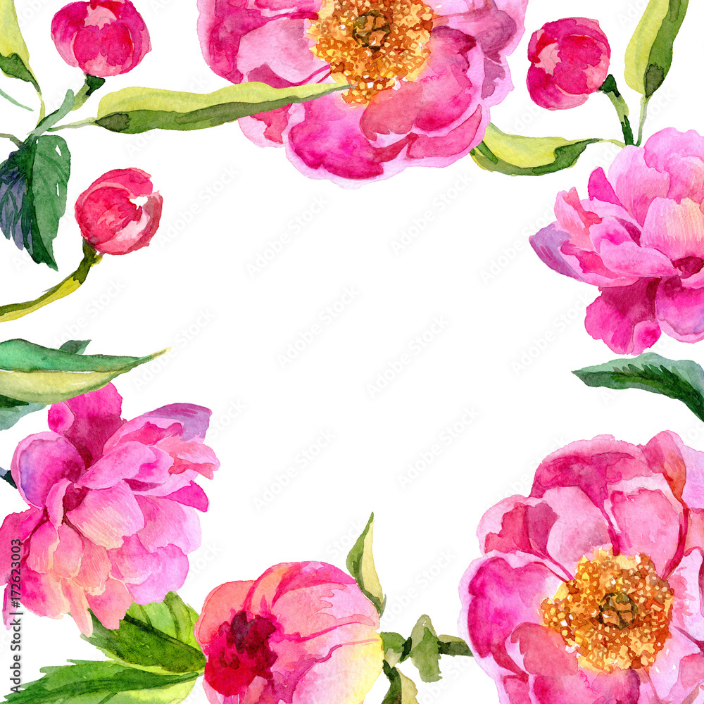 Wildflower peonies flower frame in a watercolor style. Full name of the plant: pink peonies. Aquarelle wild flower for background, texture, wrapper pattern, frame or border.