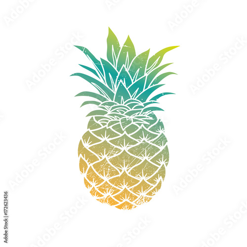 Pineapple modern illustration