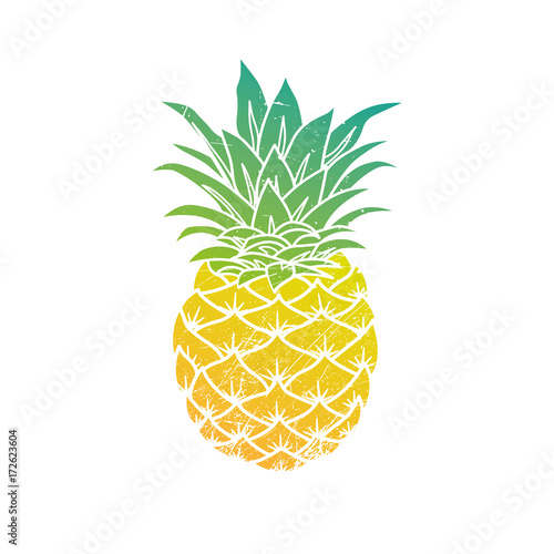 Pineapple modern illustration