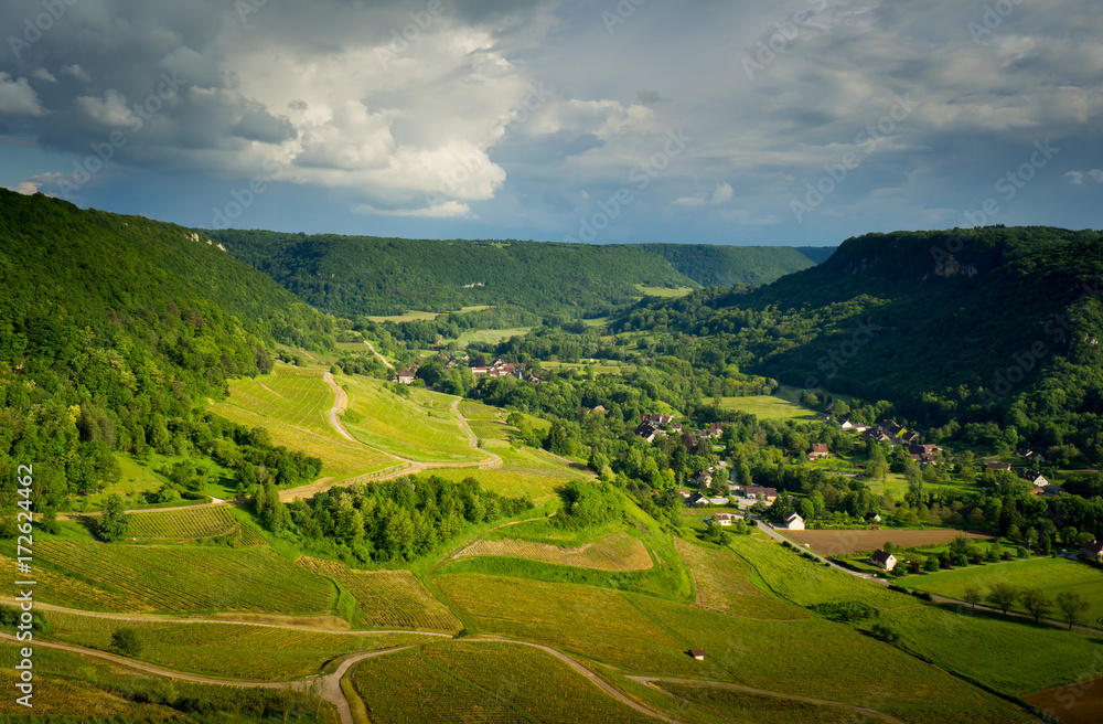 Obraz premium OLYMPUS DIGITAL CAMERA