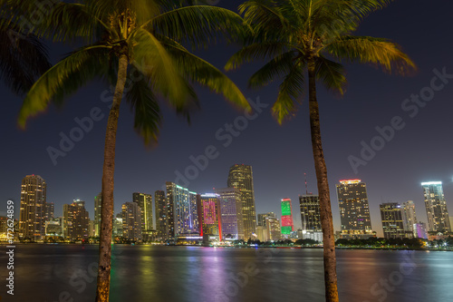 Miami skyline and bay adter sunset through two palm trees. Florida.