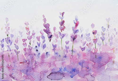 Lavendel watercolor background.