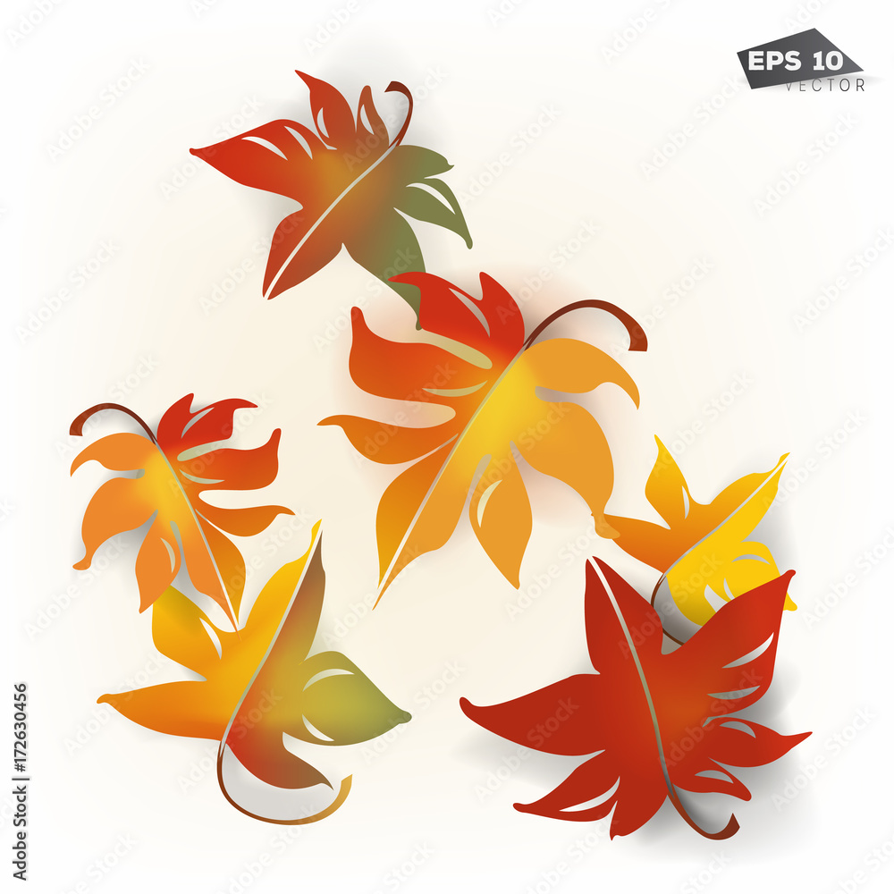 Falling autumn leaves Falling autumn leaves