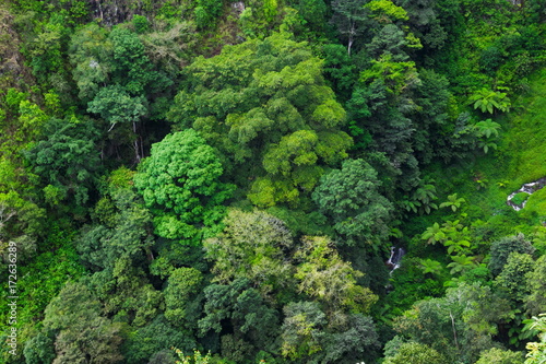 Aerial view of rain forest, Medan, Indonesia.