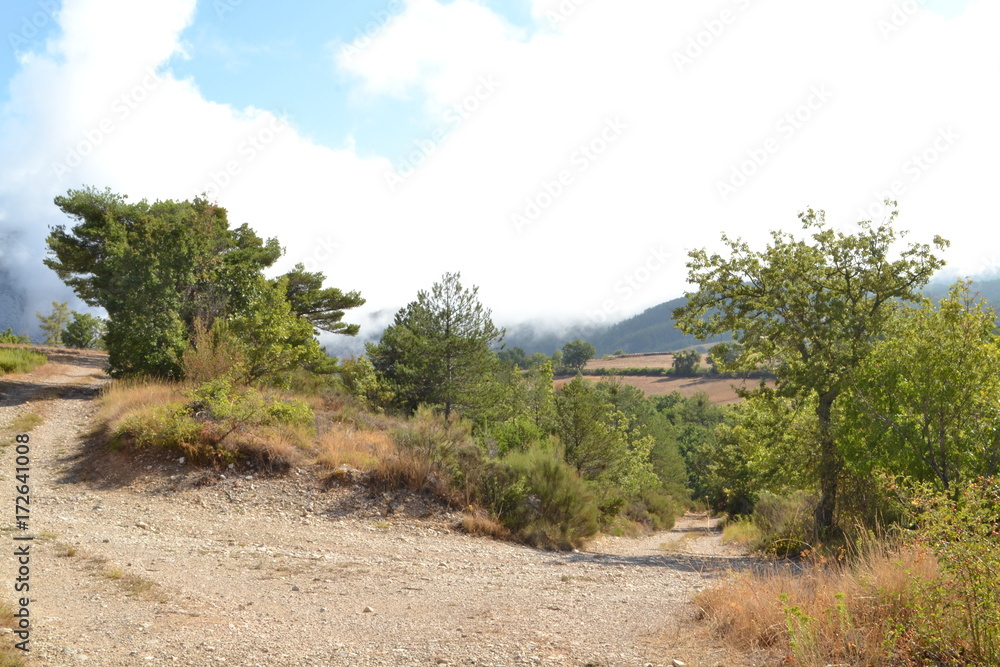 grindpad langs een camping in het regionaal natuurpark van de Franse Verdon grindpad langs een camping in het regionaal natuurpark van de Franse Verdon