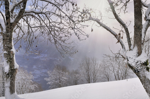 chute de neige sur paysage hivernal