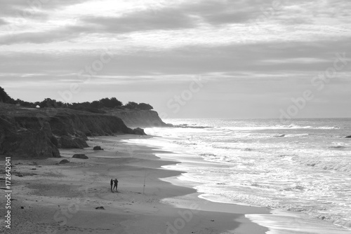 Bilde på lerret california beach black and white