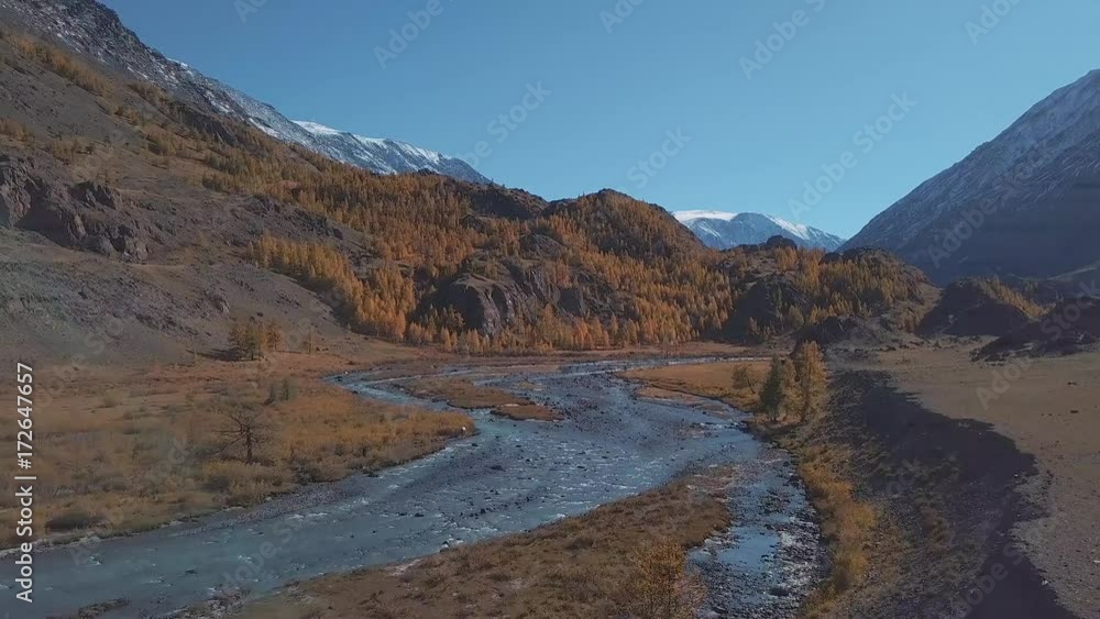 Aerial - Flight over a mountain autumn river. The water is turquoise and the larch is yellow. Flight in a beautiful mountain valley Aerial - Flight over a mountain autumn river. The water is turquoise and the larch is yellow. Flight in a beautiful mountain valley
