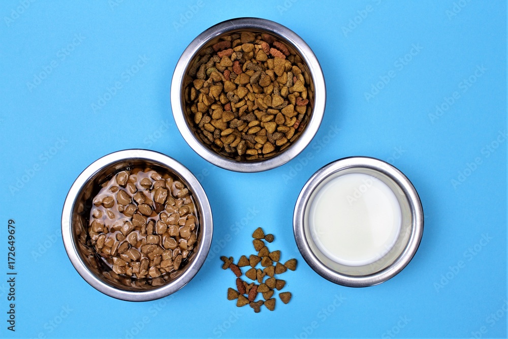 An Image of cat food with colorful background An Image of cat food with colorful background