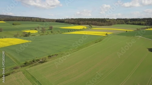 Aerial video drone flying above rapeseed field photo