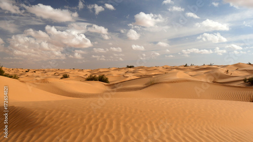 Sabbia e cielo del Sahara in Tunisia © Paolo Goglio