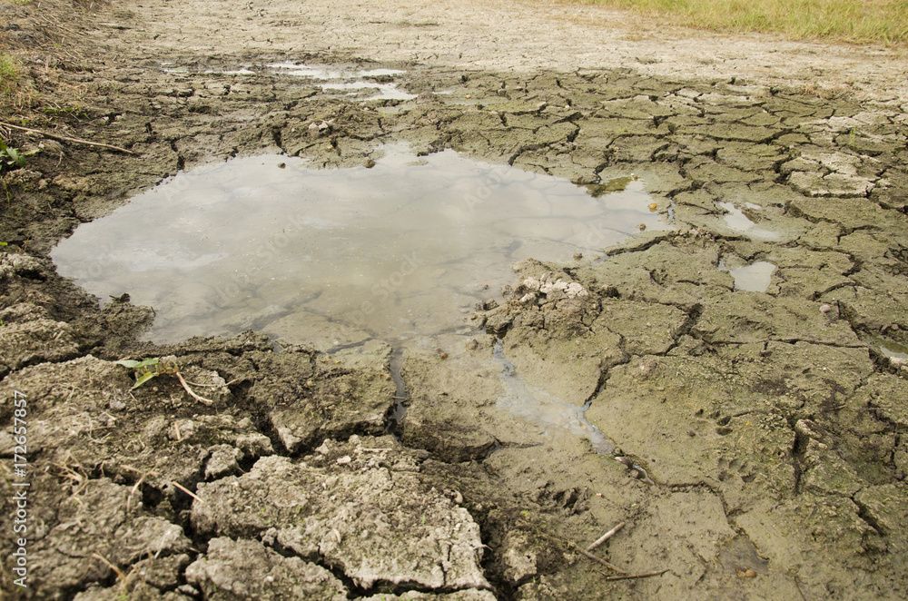Waterless in puddle at desert land because drought disaster Stock Photo