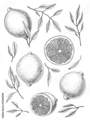 Collection of lemons