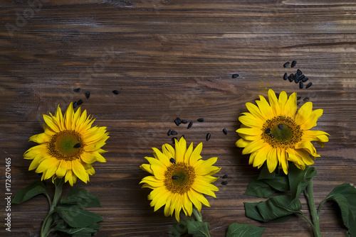 Autumn background with sunflowers