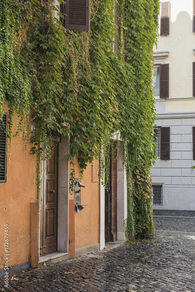 Street and building cover with vegetation in Rome, Italy