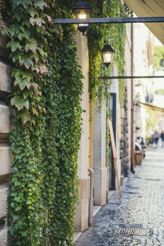 Fototapeta Naklejka Na Ścianę i Meble -  Street and building cover with vegetation in Rome, Italy