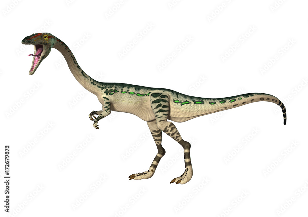Obraz premium 3D Rendering Dinosaur Coelophysis on White