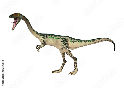 3D Rendering Dinosaur Coelophysis on White © photosvac