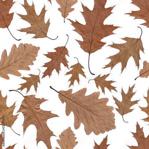 seamless autumn pattern