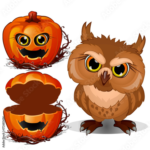 Angry owl and Halloween scary pumpkin face. Vector illustration in cartoon style isolated on a white background