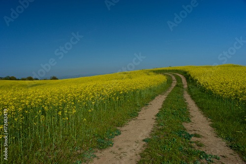 Country road