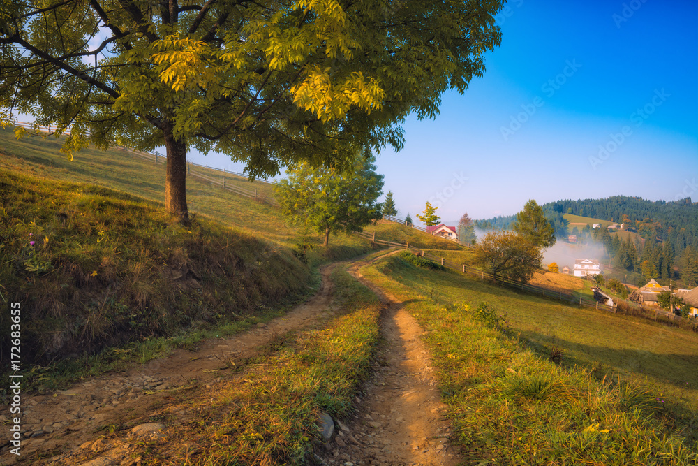 Road to the alpine village