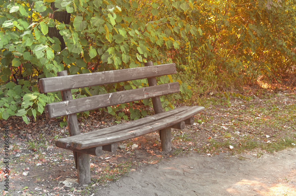 Wooden bench in the forest with green leaf background Wooden bench in the forest with green leaf background