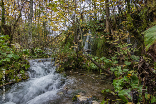 Fototapeta Naklejka Na Ścianę i Meble -  Water Stream in Plitvice Croatia