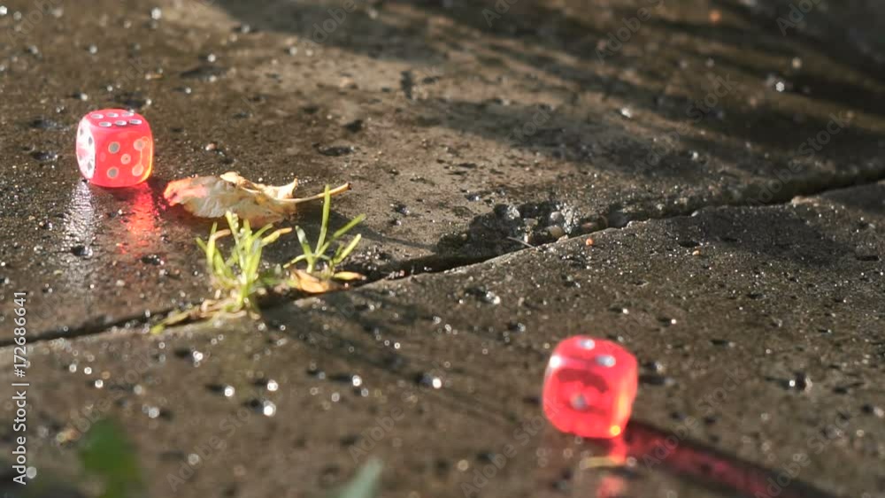 Red dice rolling on a concrete slab in slow motion Red dice rolling on a concrete slab in slow motion
