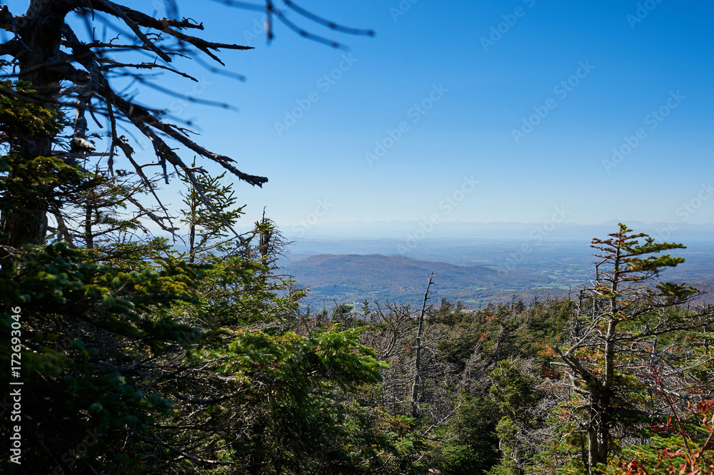 Obraz premium Beautiful foliage view and trees on mountain in Vermont blue sky