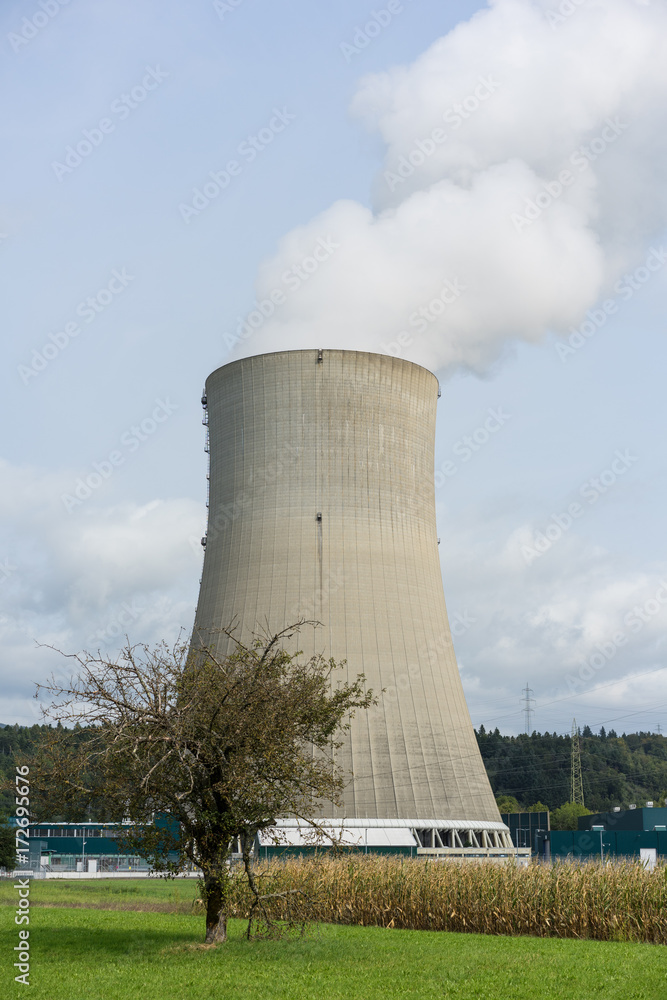 nuclear power plant cooler chimney with tree in front pollution nature