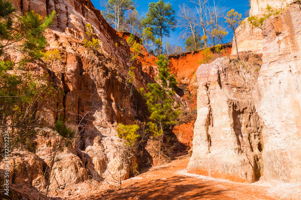 The loamy red footpath between the walls of Providence Canyon in sunny day, USA