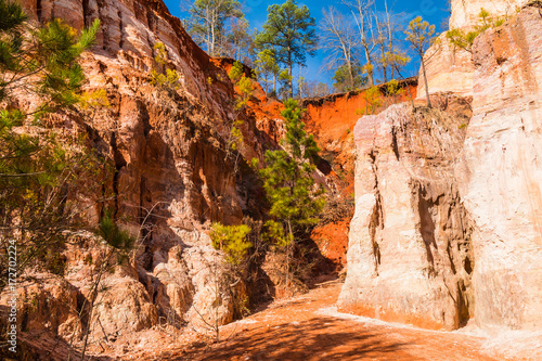 The loamy red footpath between the walls of Providence Canyon in sunny day, USA