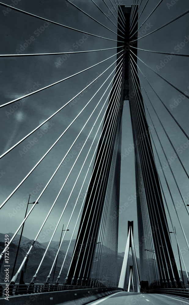 Fototapeta premium patra