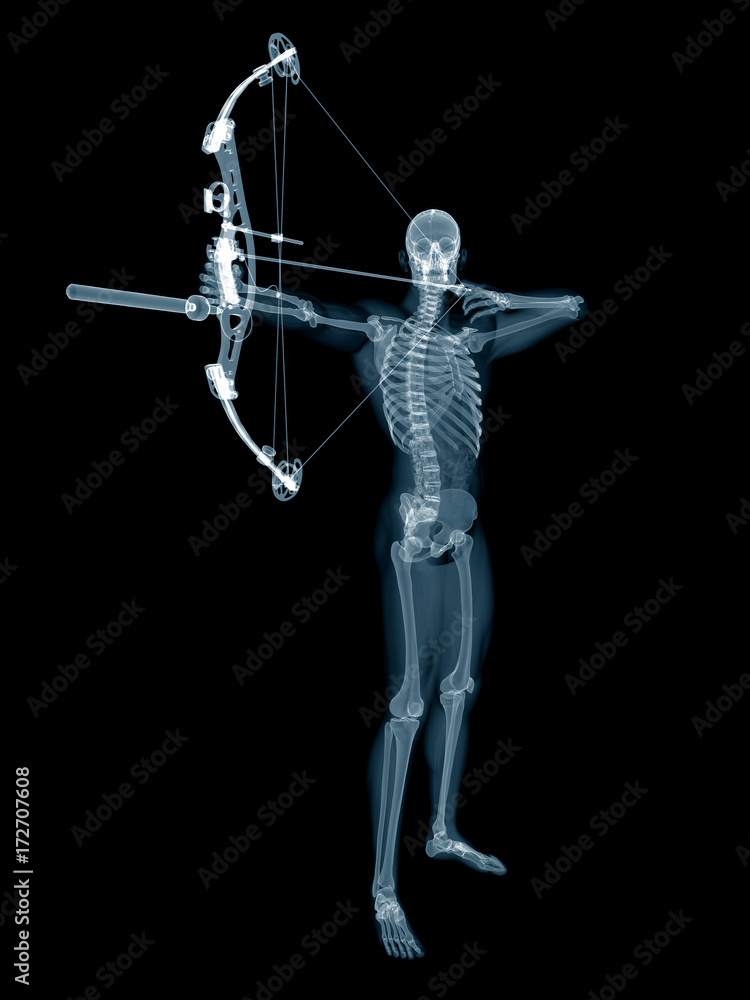 medically accurate 3d rendering of an archer medically accurate 3d rendering of an archer