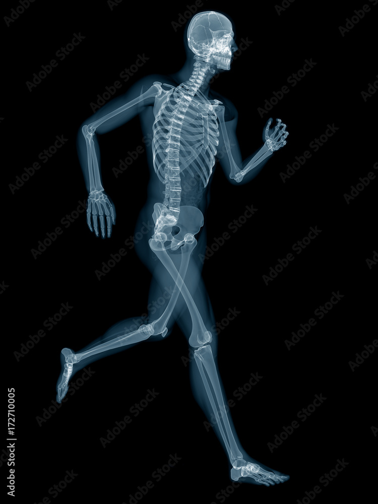 medically accurate 3d rendering of a jogger medically accurate 3d rendering of a jogger