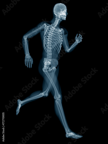 medically accurate 3d rendering of a jogger