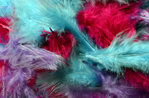 Colored feathers for background © fullempty