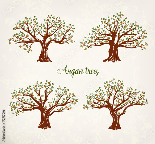 Set of argania or argan fruit trees with leaves