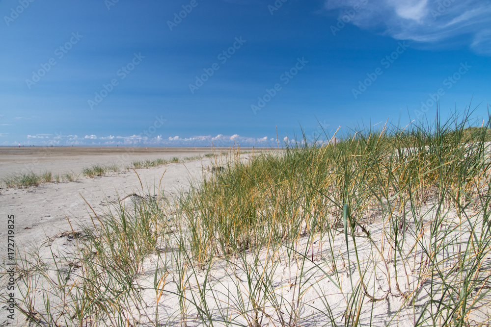 Strandlandschaft in St. Peter- Ording Strandlandschaft in St. Peter- Ording