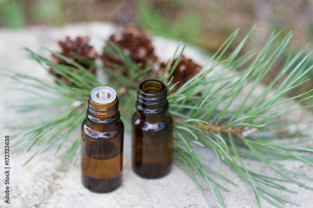 Pine essential oils for aromatherapy Pine essential oils for aromatherapy