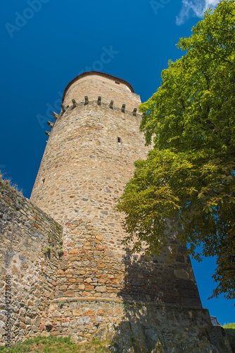 Zvikov castle