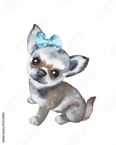 Fototapeta Naklejka Na Ścianę i Meble -  Watercolor cute dog