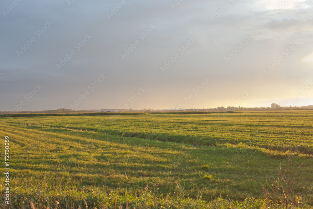 slanted field at sunset