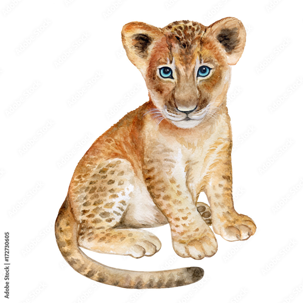 Lion baby watercolor Isolated on white background. Watercolo. Illustration