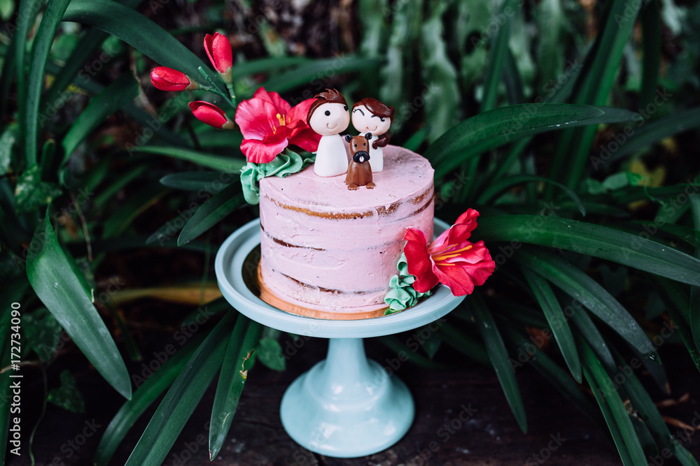 tropical candy bar Stock Photo Adobe Stock